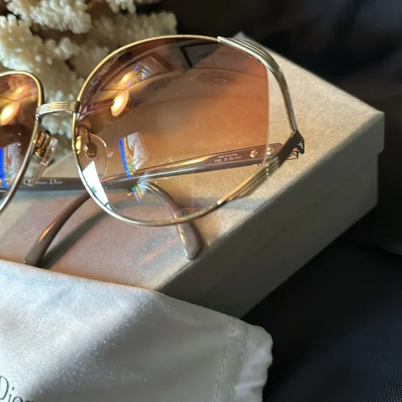 Christian Dior Sunny’s Full Inclusion